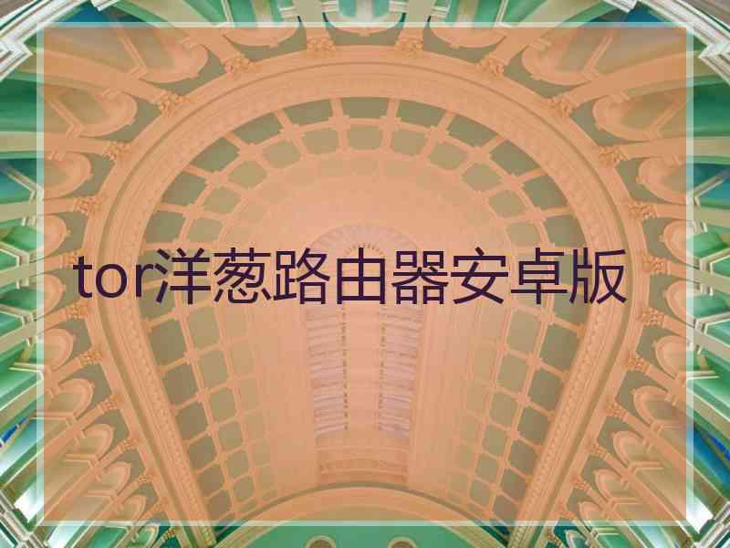 tor洋葱路由器安卓版