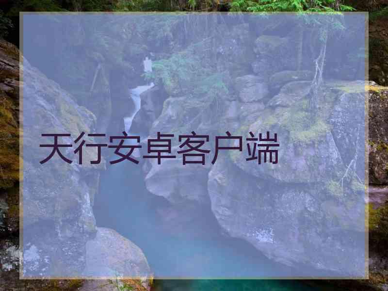 天行安卓客户端