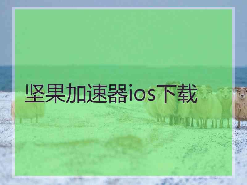 坚果加速器ios下载
