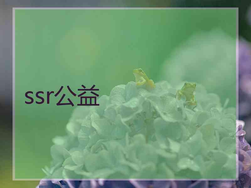 ssr公益