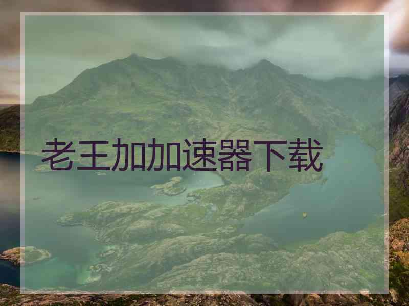 老王加加速器下载