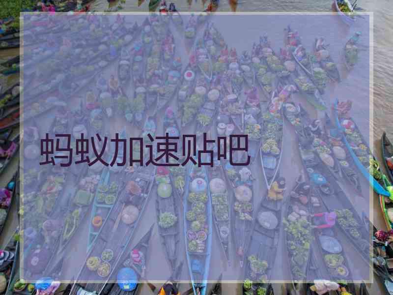 蚂蚁加速贴吧